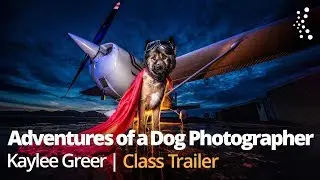 Adventures of Becoming a Dog Photographer with Kaylee Greer | Official Trailer