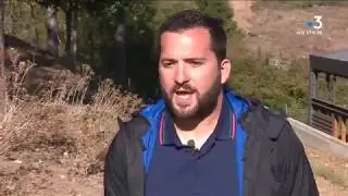 Corse : 800 000 euros accordés à la filière caprine pour lutter contre la Paratuberculose