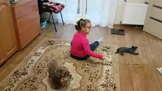 Кристина в гостях у Алисы и Каштана. Игры с Алисой