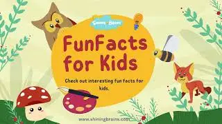 Fun Facts for Kids | Facts Everyone Should Know | Learning for kids & toddlers