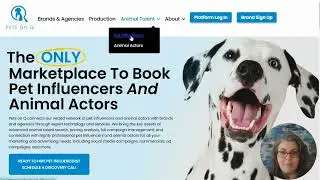 How to apply to be an Influencer  Petinfluencer.ai