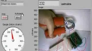 Hand Dynamometer