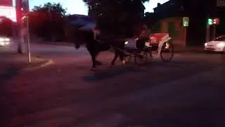 Шутки про бензин принимаются