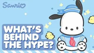 POCHACCO Fun Facts! - Ultimate Sanrio Character Guide!