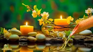 Relaxing Sleep Music - Bamboo, Water Sounds, Meditation, Peaceful Music, Nature Sounds,Calming Music
