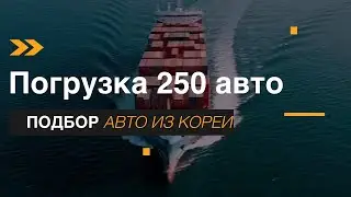 Погрузка авто на судно. Отправка 250 автомобилей. Казахстан и Россия. Авто из Кореи