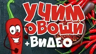 УЧИМ ОВОЩИ! Развивающие мультики для детей! Учим слова