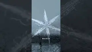 Снежинки - зимние цветы! - Наталия Лансере - Детские песни и клипы - Snowflake / Best Children Songs