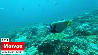 Komodo Scuba Diving Day 1 - 2024