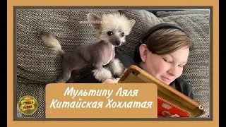 ♥️Мультипу-Ляля♥️