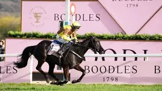 GALOPIN DES CHAMPS gallops to successive Gold Cups