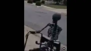 literal skeleton on a wheelchair