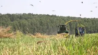 2024 07 13 Заготовка кормов в хозяйстве Плодопитомник