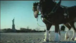 911 9/11 Limited Budweiser Commercial