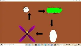 Butterfly Lifecycle Open_GL / Computer Graphics Project With Source Code