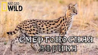 Смертоносная Африка - Степи. 