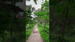 গ্রামের সৌন্দর্য দেখে মুগ্ধ হয়ে গেলাম #nature