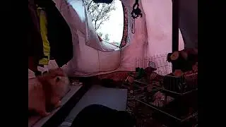 Стандартные печные палатки Морских экспедиций (Сергей Соколов)