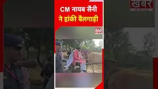 CM नायब सैनी ने हांकी बैलगाड़ी #shorts