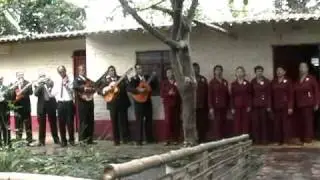 Adios casita blanca - 