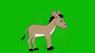 Donkey green screen video । donkey green screen no copyright। donkey green screen cartoon।