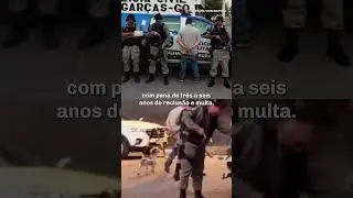 💢Preso por causar incêndio em Goiás diz que ação foi proposital💢