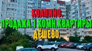 Колпино | Продажа 1комн.квартиры | Дешево