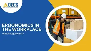 Workplace Ergonomics | New MNOSHA Standards | What is Ergonomics? | Common Musculoskeletal Risks