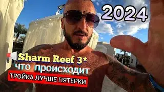 Египет 📢Sharm Reef 3* Шарм Эль Шейх ХАДАБА Бухта РАС УМ СИД Ужин и анимация