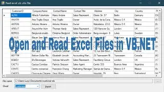 VB.NET Tutorial - Open and Read Excel files/ Import Excel file to DataGridView | FoxLearn