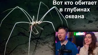 Жуткое существо из глубин океана! Морской паук! | РЕАКЦИЯ