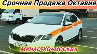 Таза Октавия Сатылат#89997130659#automobile