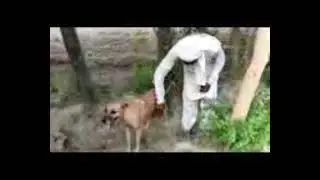 يمارس الجنس مع الكلب # A SeX avec le chien