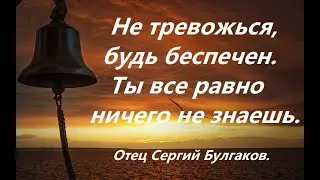 Не думай, как устроить свои дела, как разрешить трудности. Будь беспечным. Отец Сергий Булгаков.