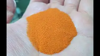 Корм для малька! Декапсулированная артемия! Как ею кормить малька правильно!