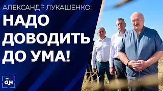 Лукашенко: я такого рапса не видел, честно говоря. Панорама