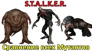 Сравнение всех мутантов из S.T.A.L.K.E.R.