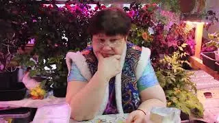 ЗЛО ИЛИ ДОБРО? Стоит ли использовать минеральные удобрения. Удобрения какими пользуюсь.