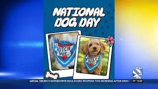 Dutch Bros celebrates National Dog Day