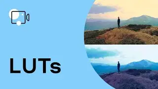 How to use LUTs in Movavi Video Editor Plus | video editing (Tutorial 2021)