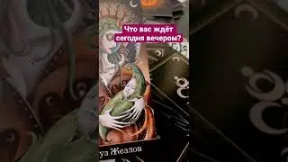 Что ждёт сегодня вечером? Мини расклад таро на сегодня.