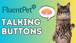 Alfredo's 3rd and 4th words #talkingbuttons #fluentpet #cat