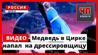Медведь напал на беременную дрессировщицу в цирке | Орёл