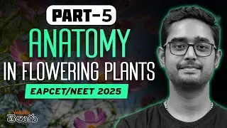 Anatomy of Flowering Plants Plants | Part - 5 | EAPCET 2025 | NEET 2025 | Ajay Kumar Sir