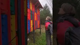 Проведали пчёл и удивились 