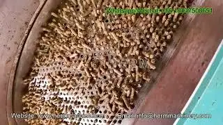 10-12 тонн/час Линия по производству кормов для птицы Project-Herm Machinery