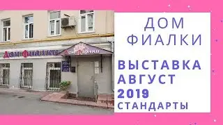 Выставка в Доме Фиалки Август 2019 Стандарты