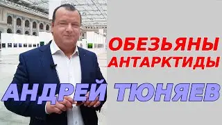 Обезьяны Антарктиды