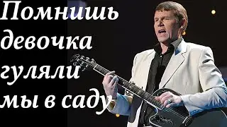 А. Новиков - Помнишь девочка гуляли мы в саду | Шансон
