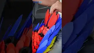Guess how big this Macaw is? 